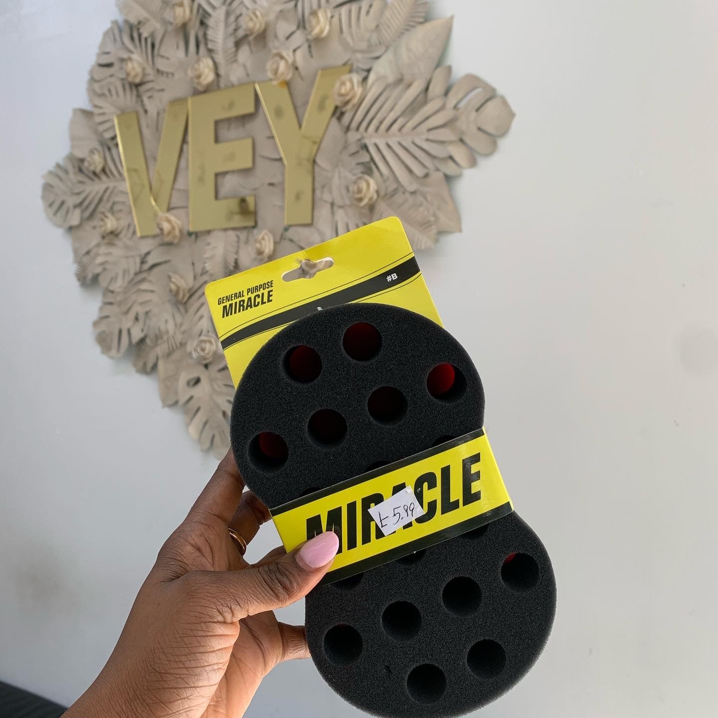 Miracle Hair Sponge (B)